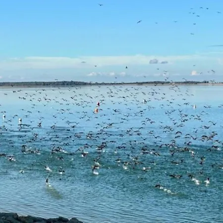Le De La Presquile Chalet Giffaumont-Champaubert