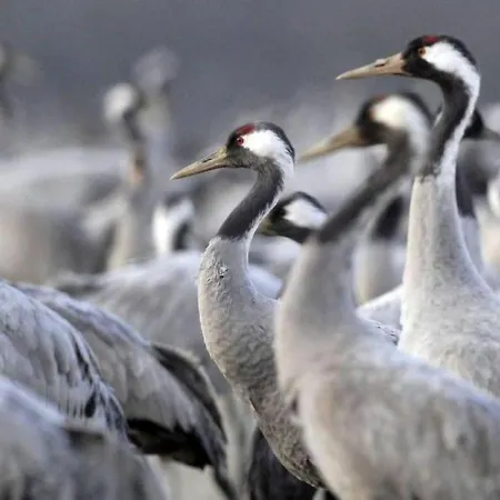 Le De La Presquile Chalet *